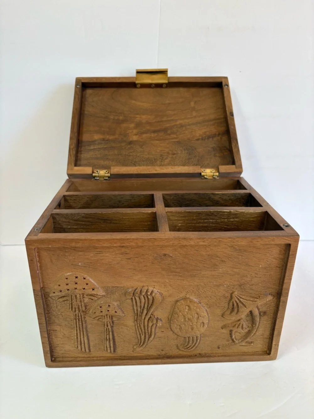 NWT Anthropologie Terrain Mushroom Seed Storage Box